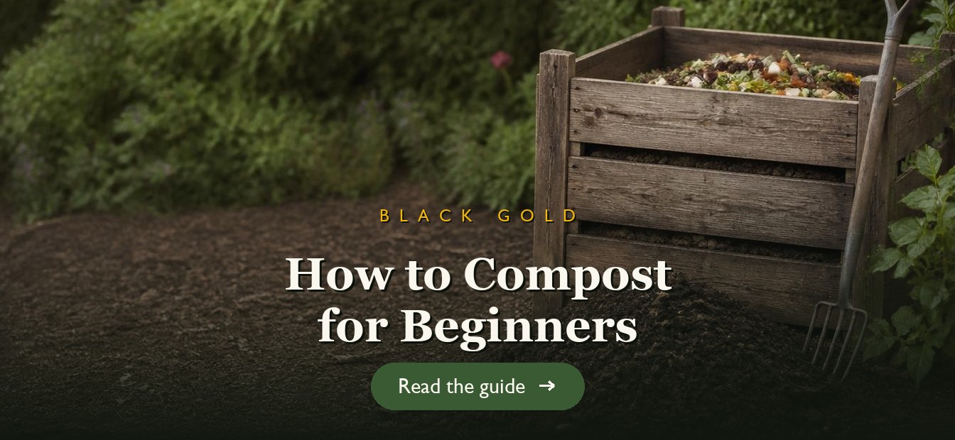 A backyard compost bin with kitchen scraps and rich dark finished compost