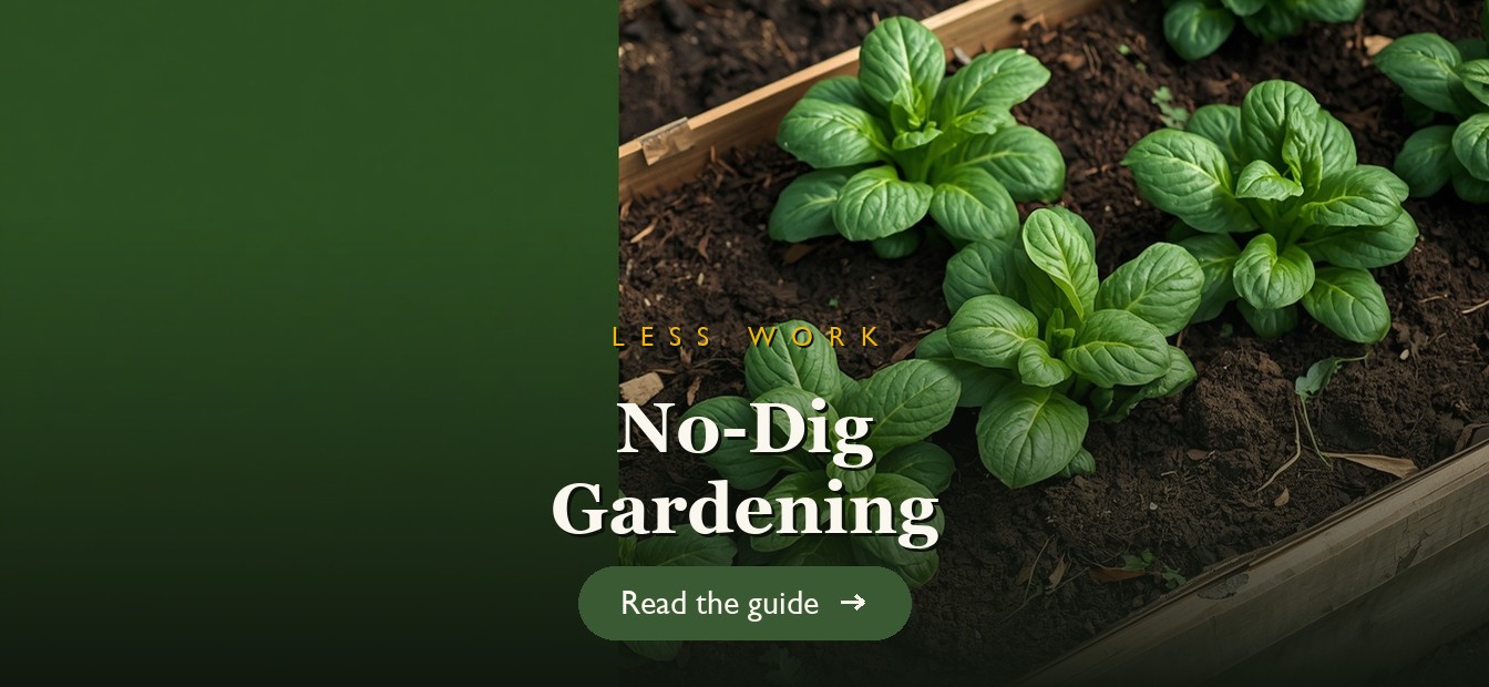 A lush no-dig garden bed layered with compost and thriving vegetables