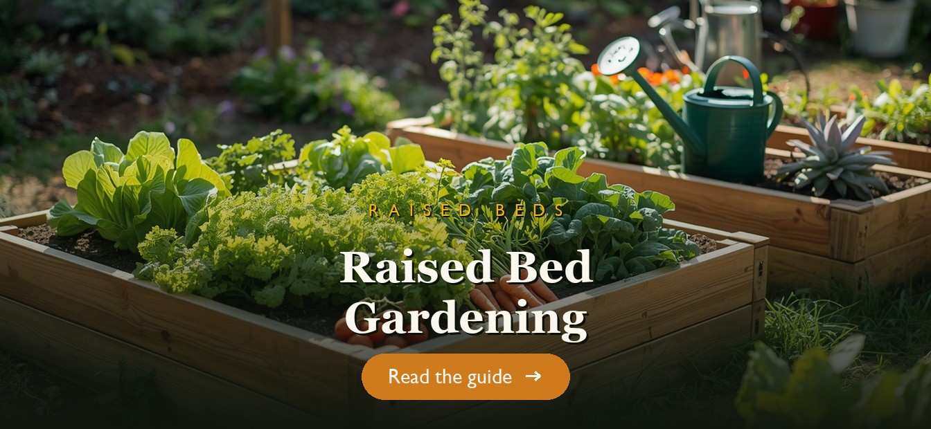 Wooden raised garden beds full of vegetables in a sunny backyard